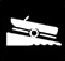 Launch requirements icon